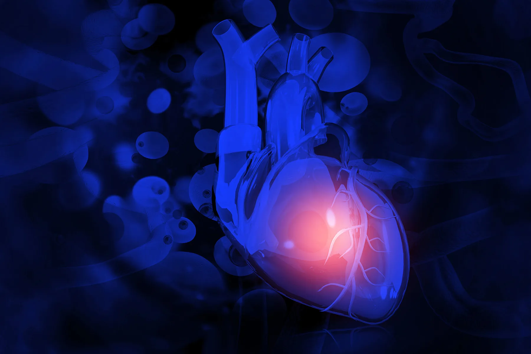 photo of medical illustration heart blue pain