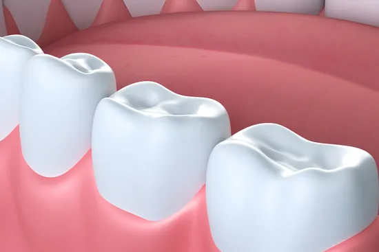photo of medical illustration teeth gums mouthphoto of medical illustration teeth gums mouth
