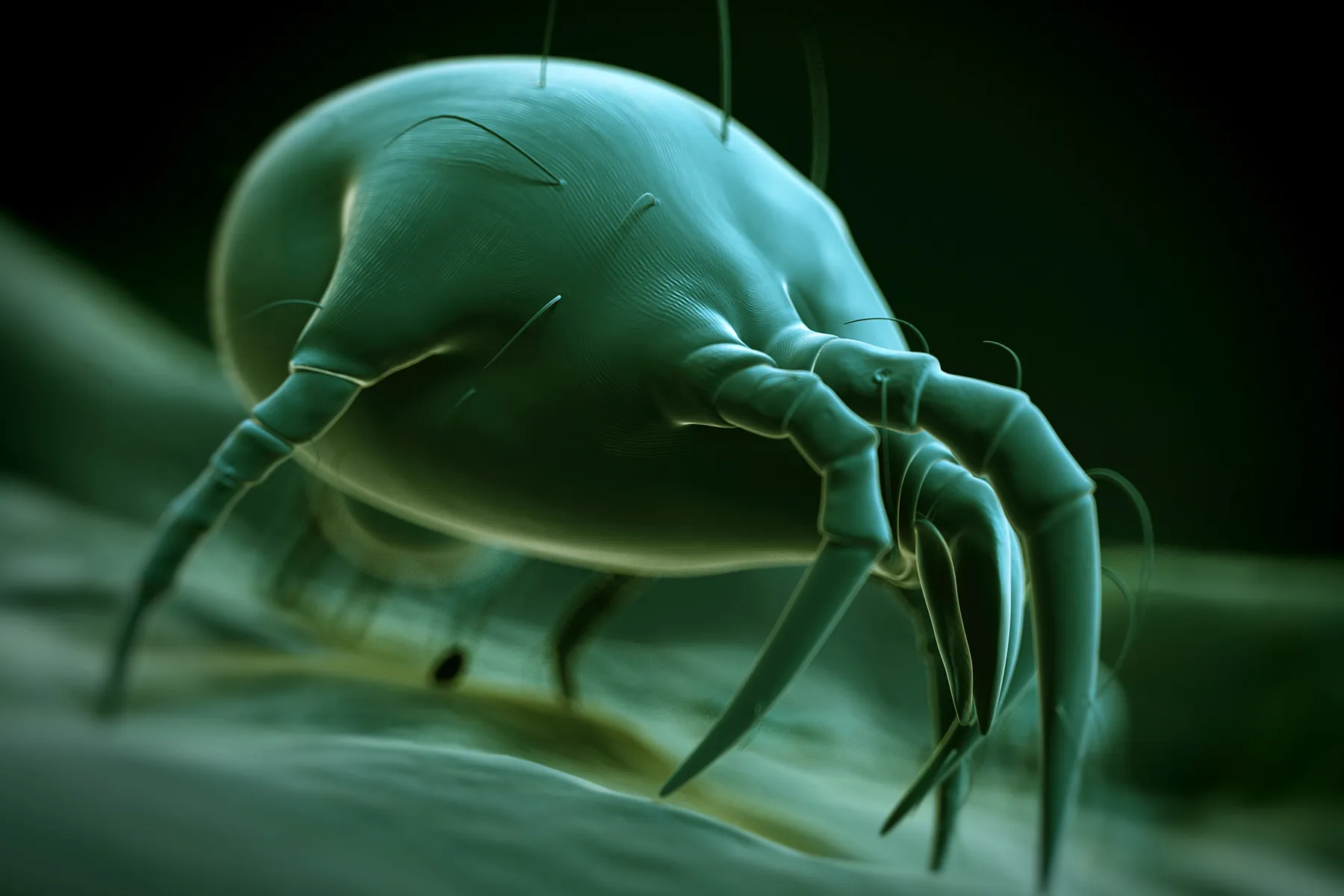 ‘Ticks Surprise Us:’ 2021 May Be Big Lyme Disease Year thumbnail