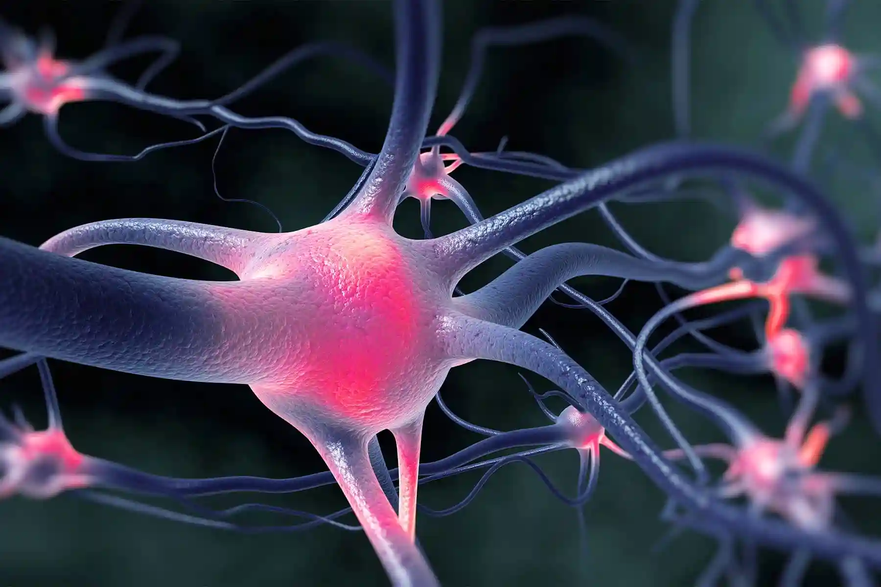 photo of active nerve cells firing