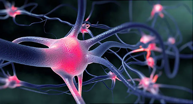 active nerve cells firing other