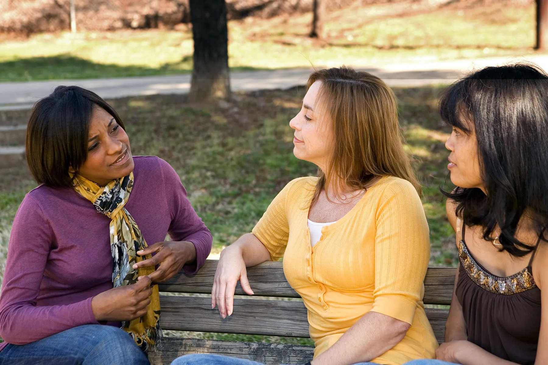 photo of adult friends talking on park bench