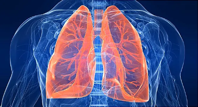 Inoperable Lung Cancer: Types, Causes, Diagnosis, and Life ...