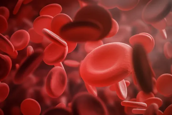 photo of blood cells