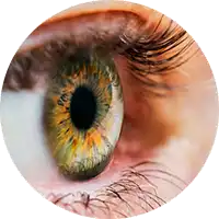 photo of human eye close up