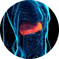 photo of hepatitis liver anatomy