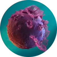 photo of herpes simplex virus