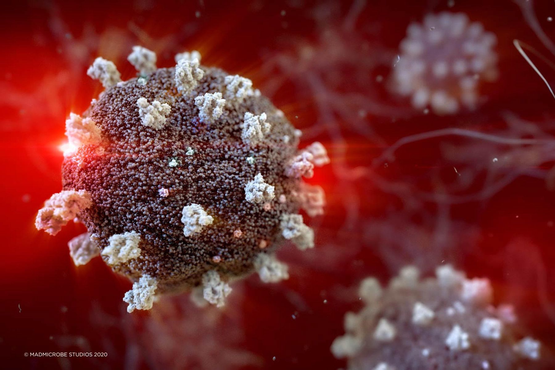 Les infections révolutionnaires au COVID augmentent l’immunité, selon une étude