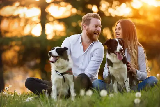 photo of couple relaxing outdoors with dogs