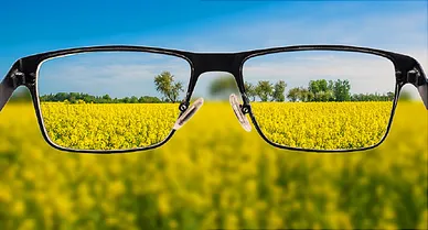 photo of eyeglasses against field of flowers