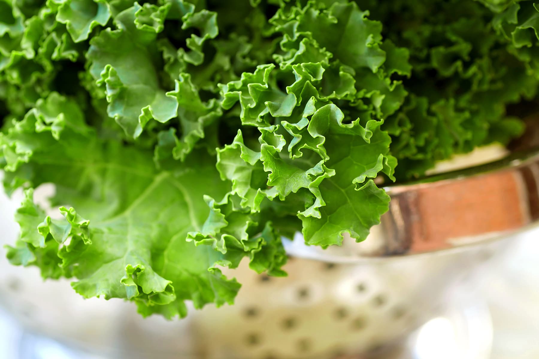 photo of fresh kale