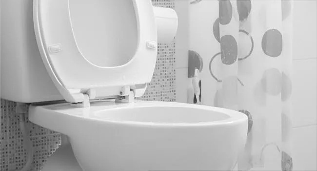 Smart Toilets: Next Tool Against Diseases (Including COVID)