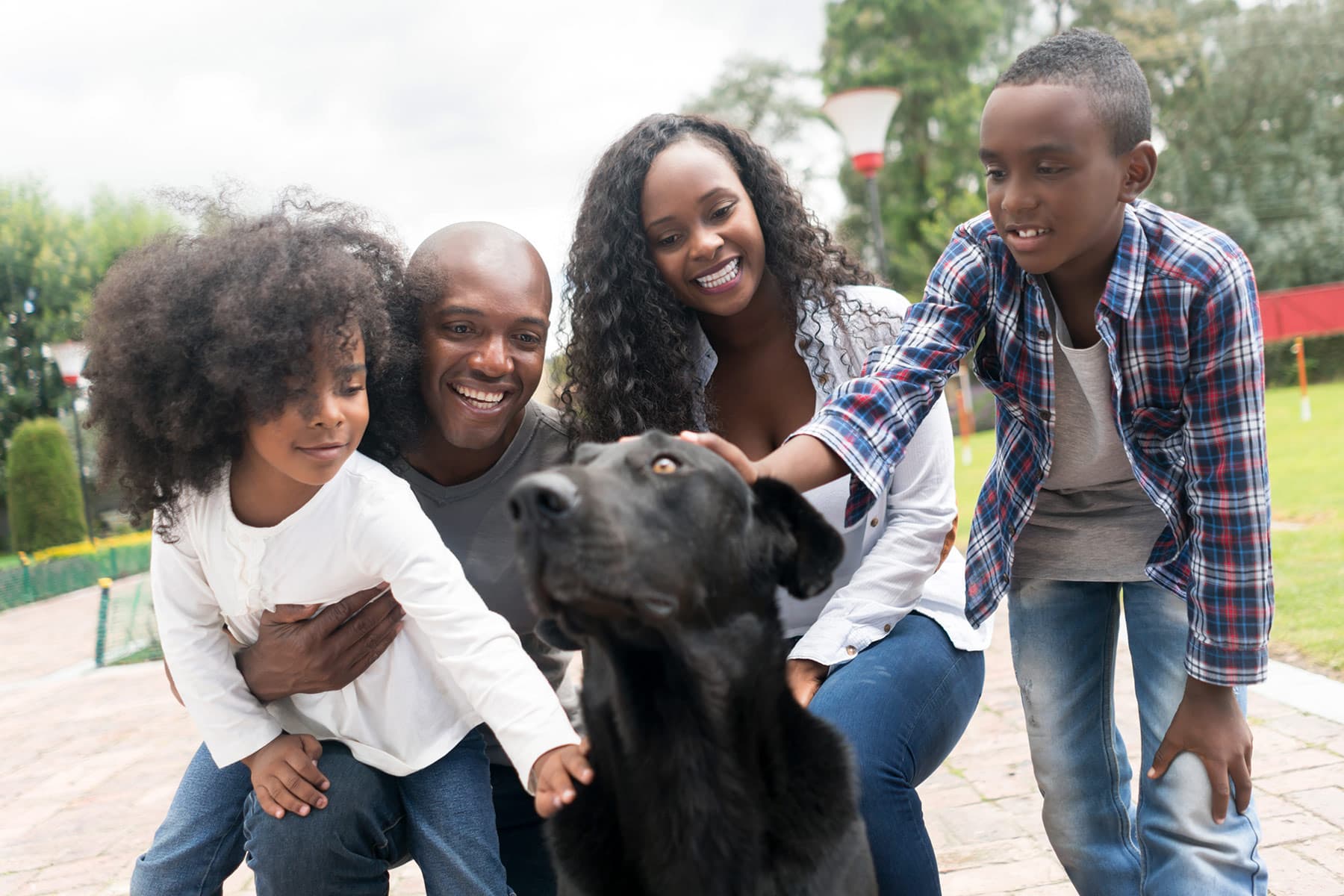 photo of family adopting mixed breed dog
