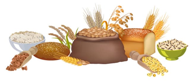 illustration of whole grains