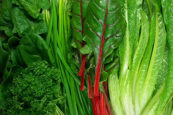 photo of leafy greens