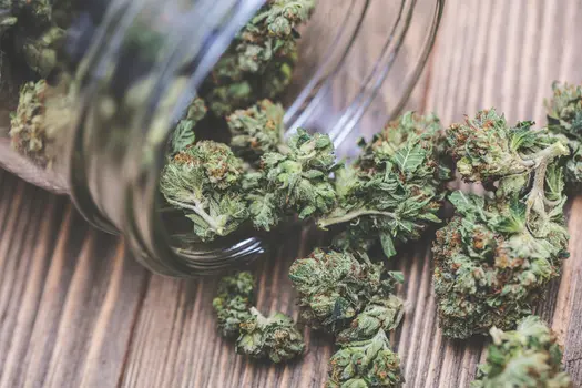 photo of lifestyle marijuana jar table