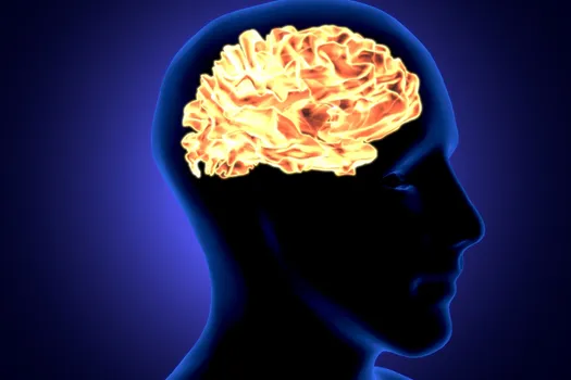 photo of medical illustration brain black blue yel