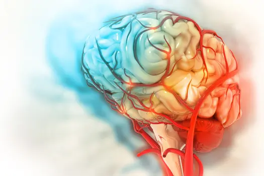 photo of medical illustration brain colorful