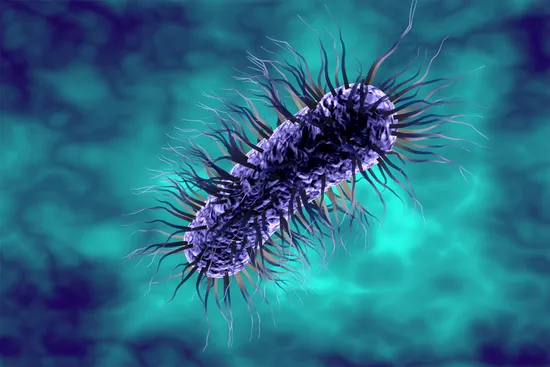photo of medical illustration bacteria germ black