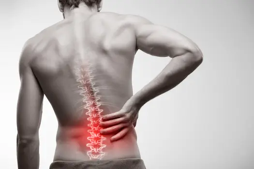 photo of medical illustrations low back pain red m