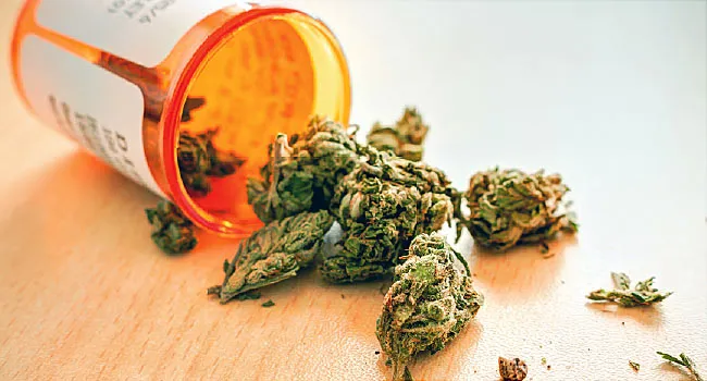 Medical Marijuana Works