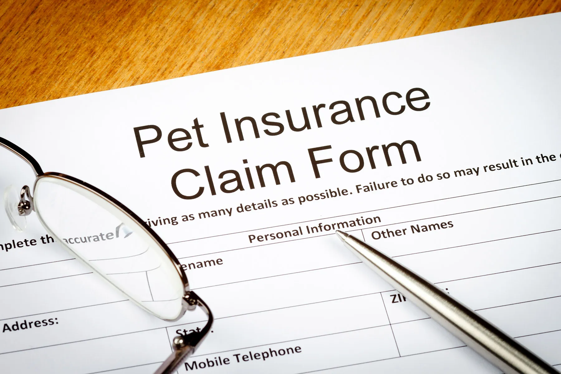 pet-insurance-what-to-know