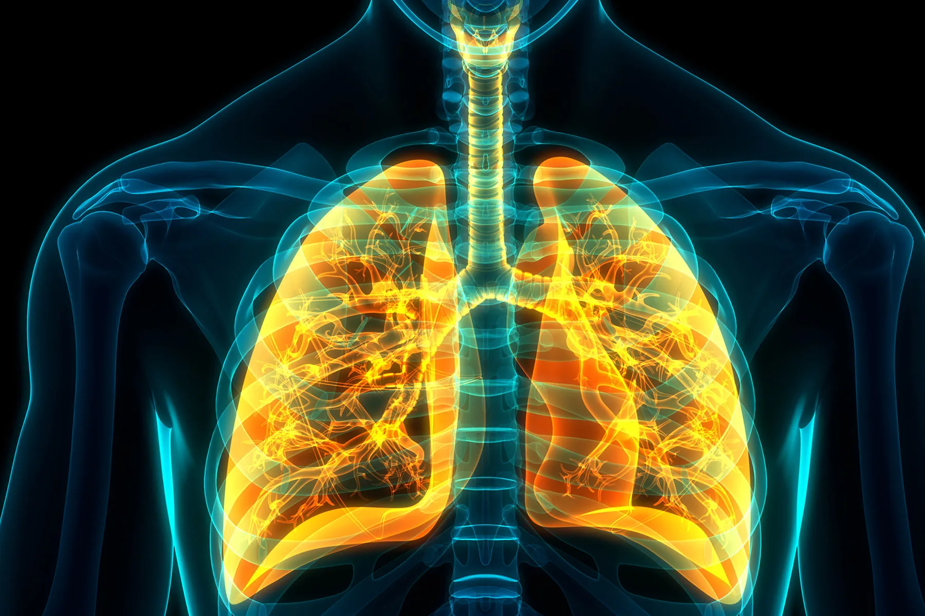 COPD and Coronavirus: Symptoms, Risks, and More