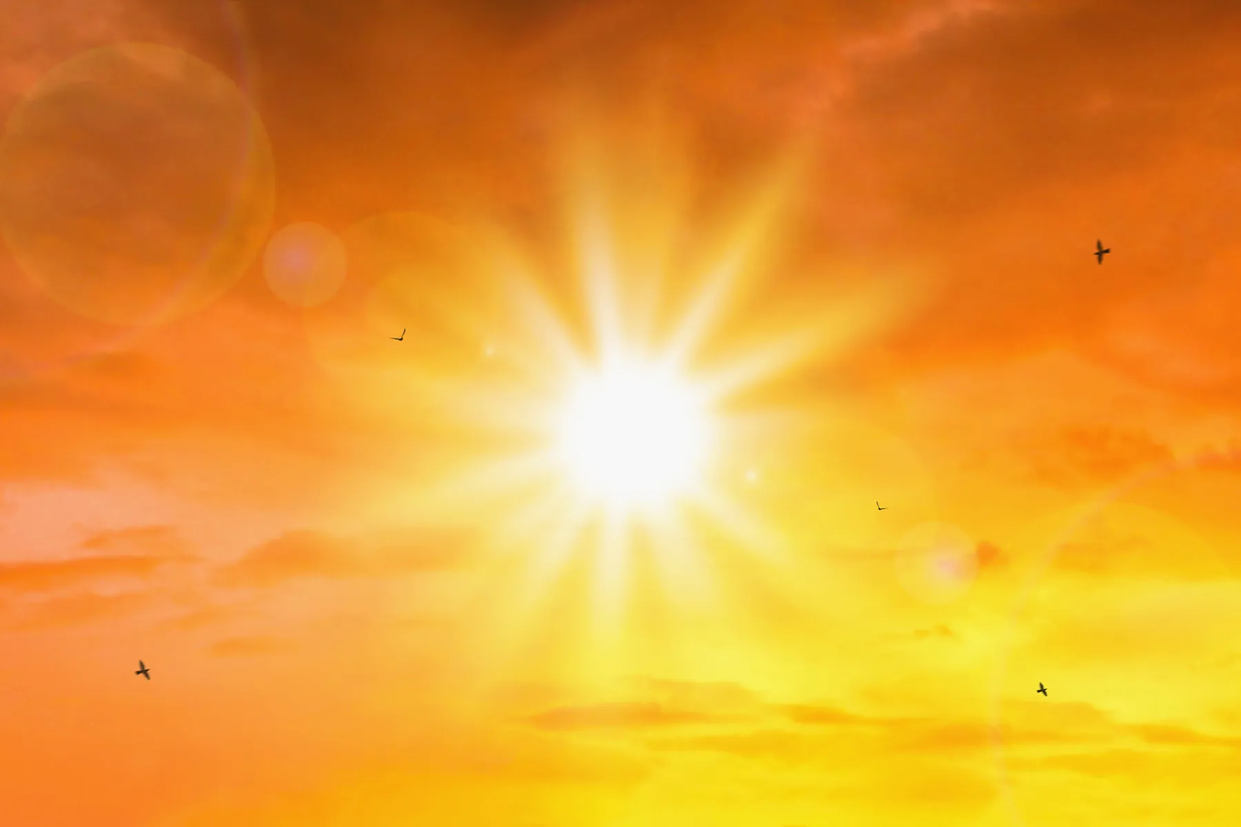 Late Summer Heat May Bring Increased Risk of Miscarriage