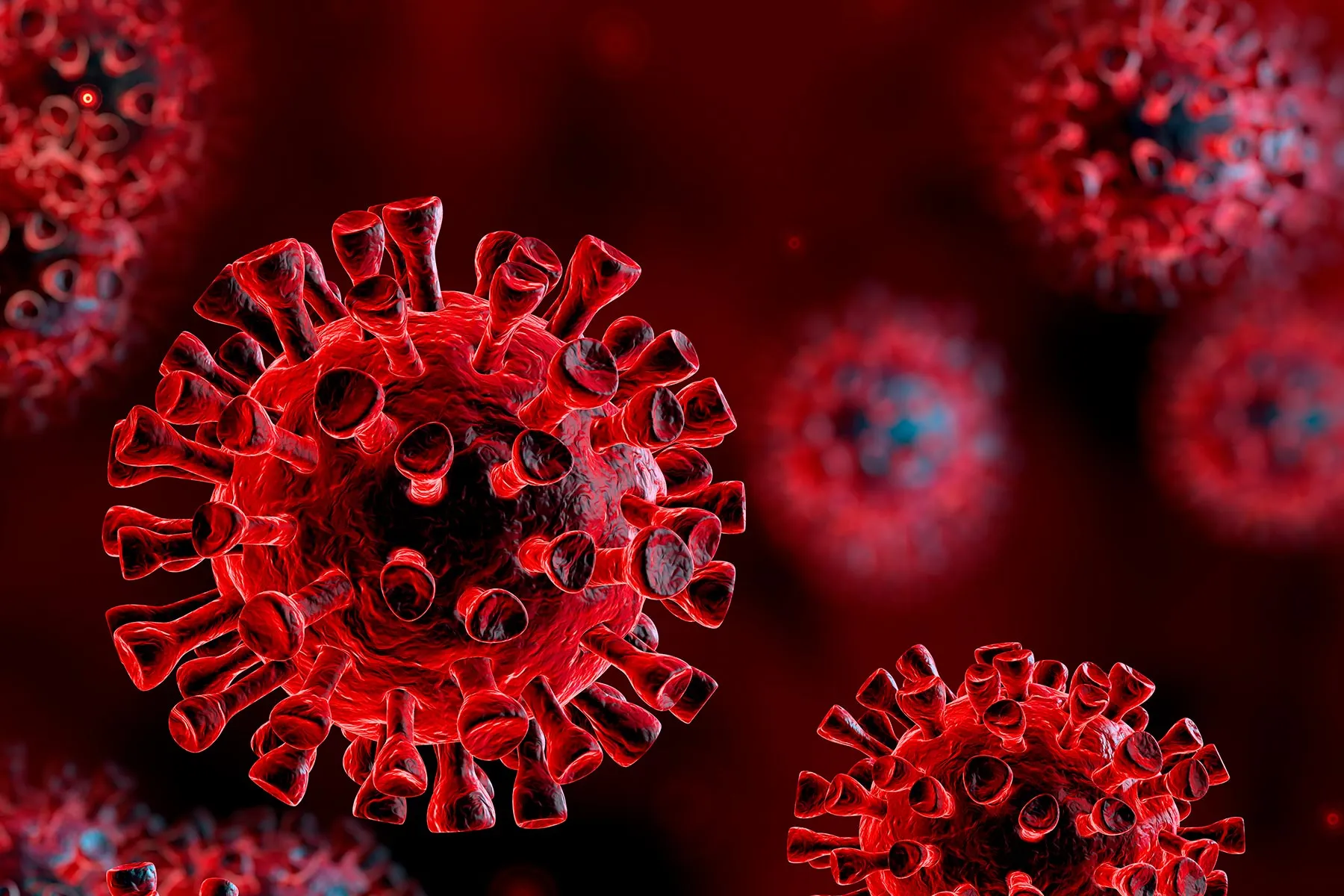 photo of virus 3d render red