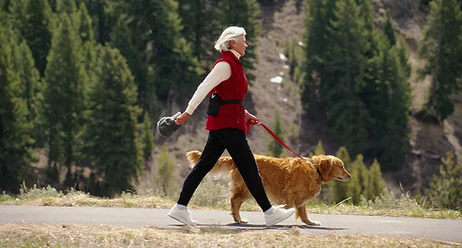 photo of woman walking dog