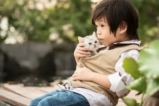 photo of young boy with kitten
