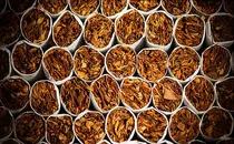Thành phần Nicotine trong thuốc lá - Chuyên thuốc 555 ANH