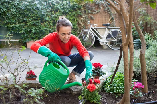 photo of woman watering plants in garden