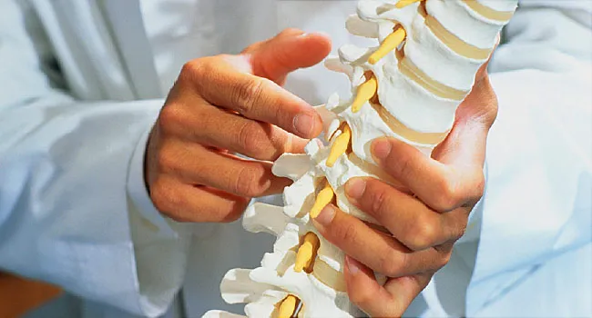 doctor model spine