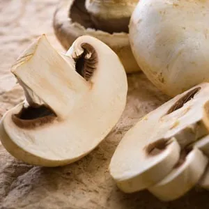Greek-Style Mushrooms