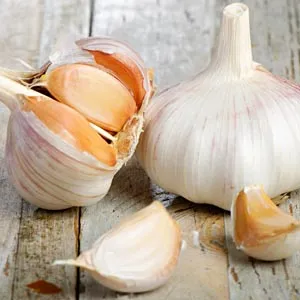Roasted Garlic and Sage Pocket Rolls