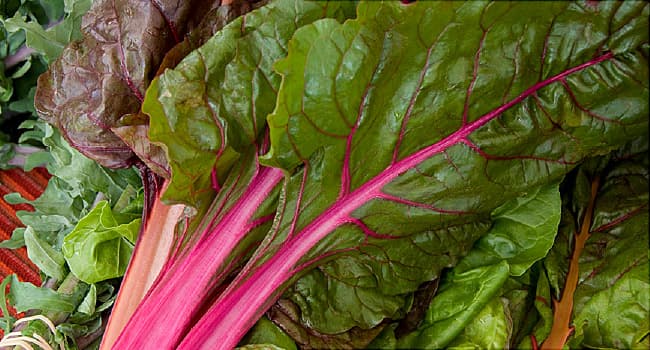 Image result for Swiss Chard
