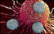 t cells attacking cancer cell