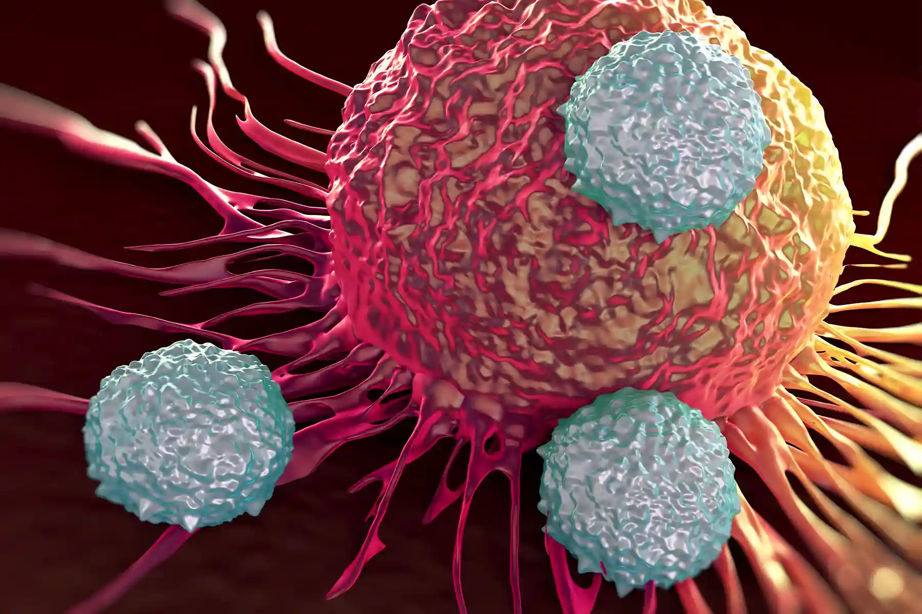 photo of T-cells attacking cancer cell