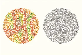 Tips For Dealing With Colorblindness In Every Day Tasks