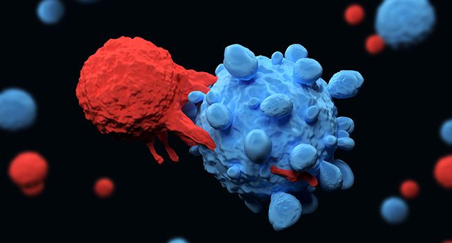 What Is CAR T-Cell Therapy? Immune Cell Therapy for Cancer