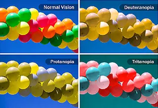 types of color blindness quadtych