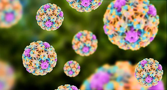 Infecția cu HPV: cauze și transmitere, tipuri de HPV, simptome, tratament și prevenție