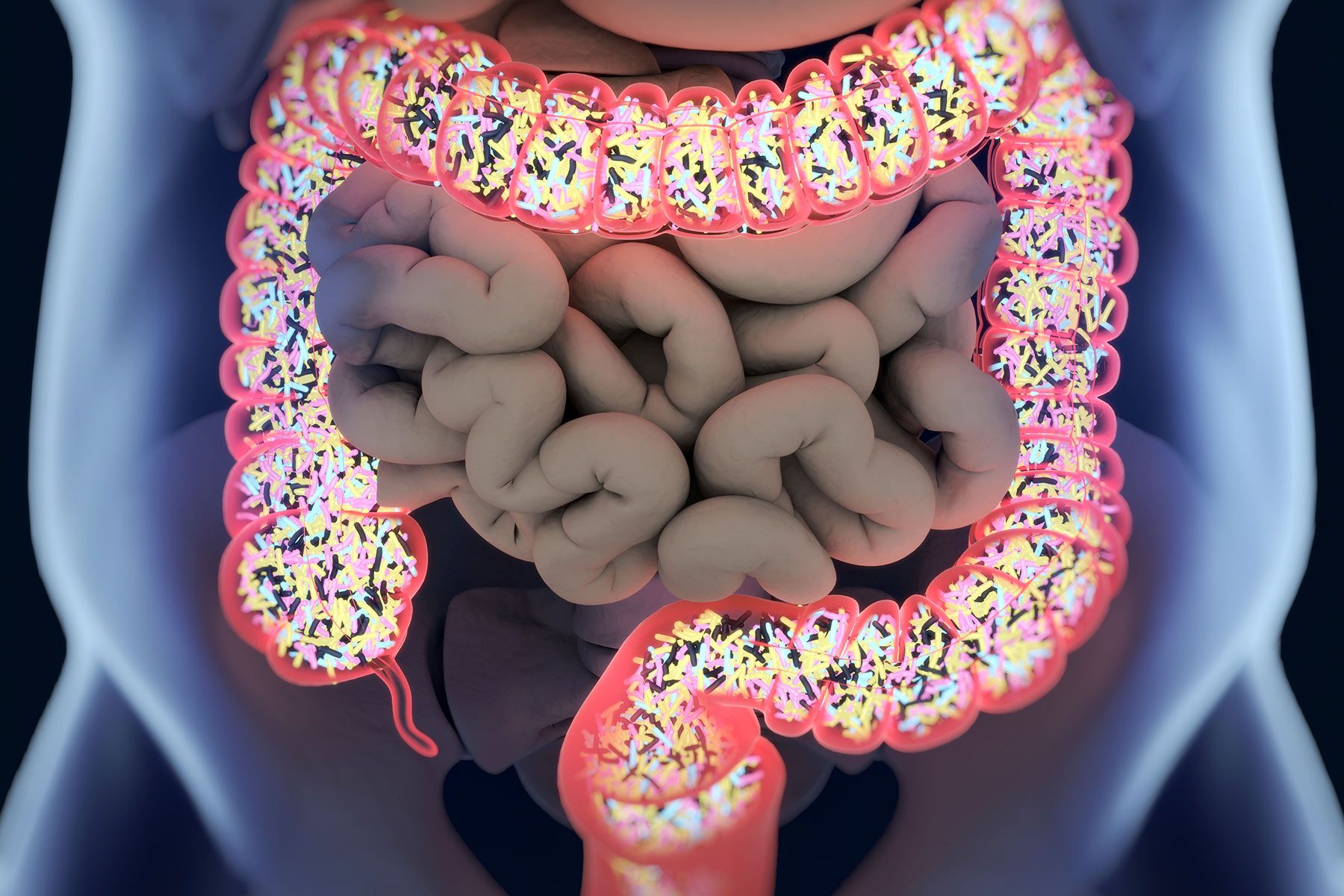 illustration of microbiome