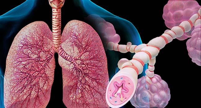 Asthma Facts : Symptoms, Causes, Treatments, & More