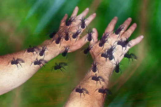 photo of tactile hallucination with spiders