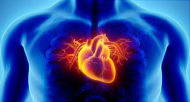 11 Strange Heart Disease Causes and Risk Factors