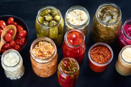 photo of variety of fermented foods