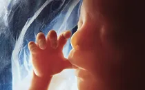 Pictures of Fetal Development Month-by-Month