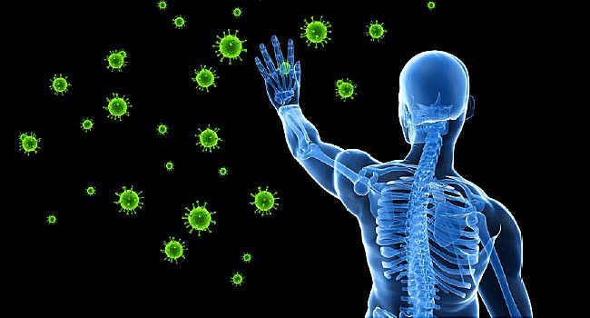 The Human Immune System Explained